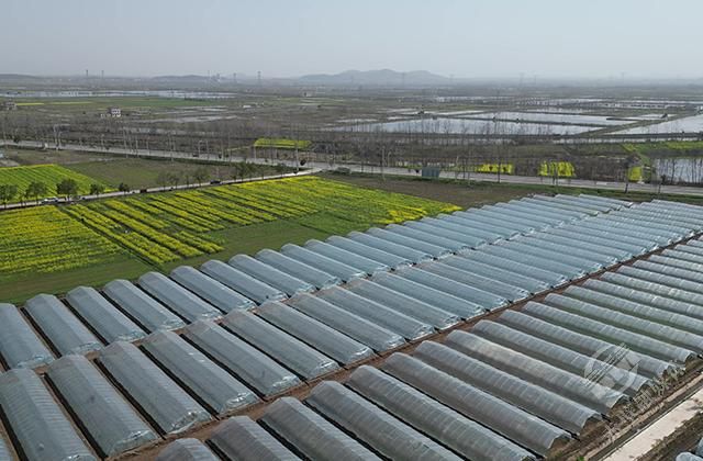 赤壁企业数字化转型 高端网站建设引领产业升级