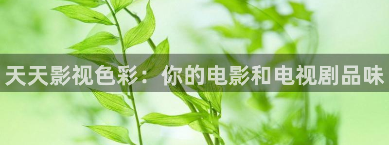 韩国影视大全