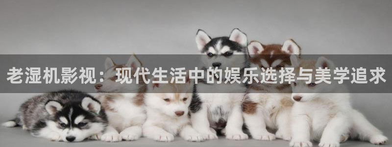 穿梭在韩国影视世界的小说