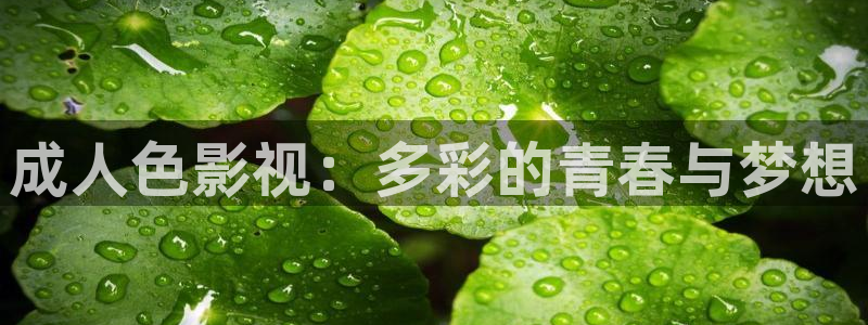 必胜韩国影视