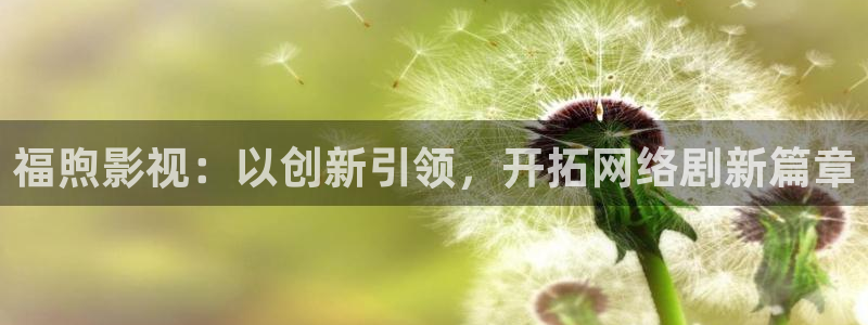 韩国影视推荐