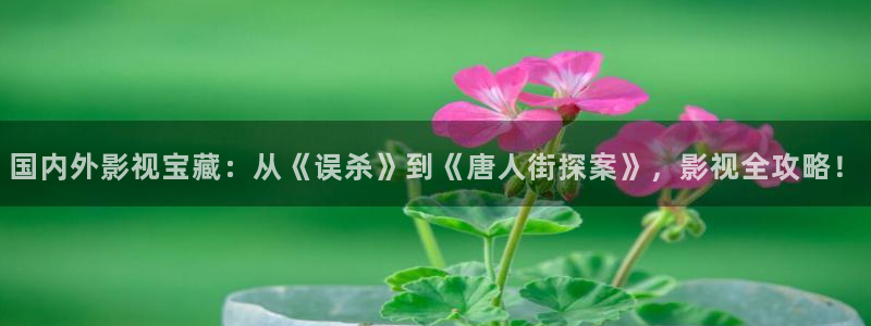 穿梭在韩国影视世界的小说