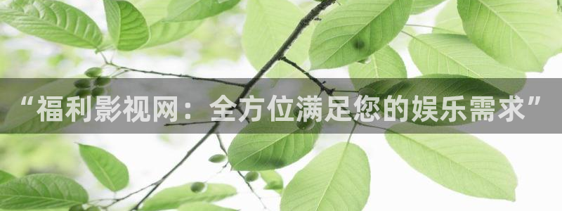 韩国影视电影