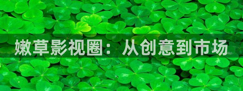 韩国影视大全