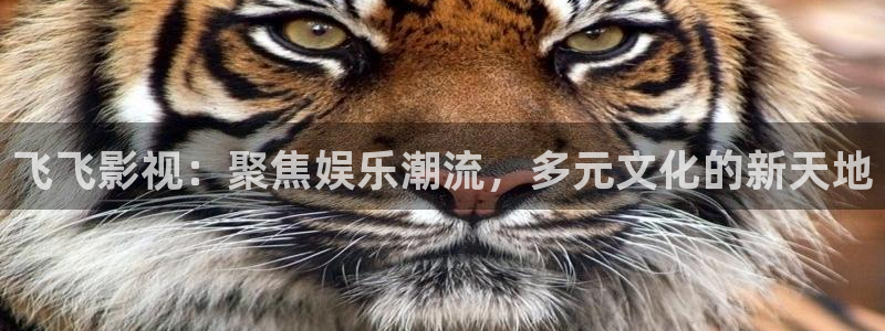 穿梭在韩国影视世界的小说